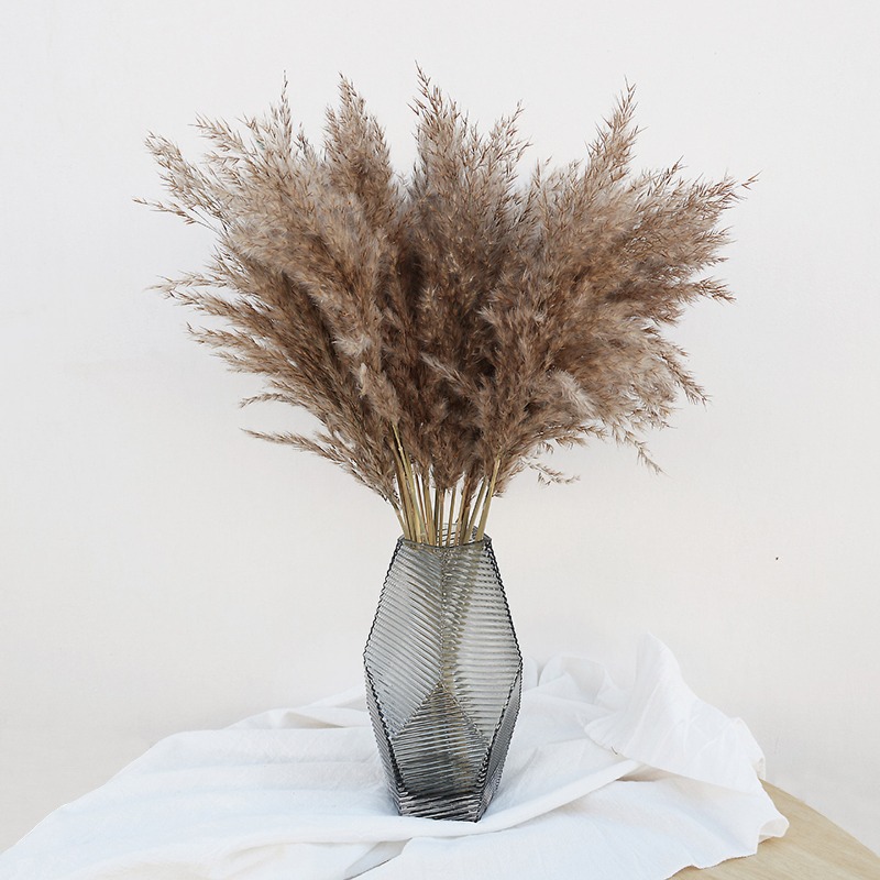 10 Peças de Capim-dos-Pampas C - Pampas Grass Decor avaliação e preço