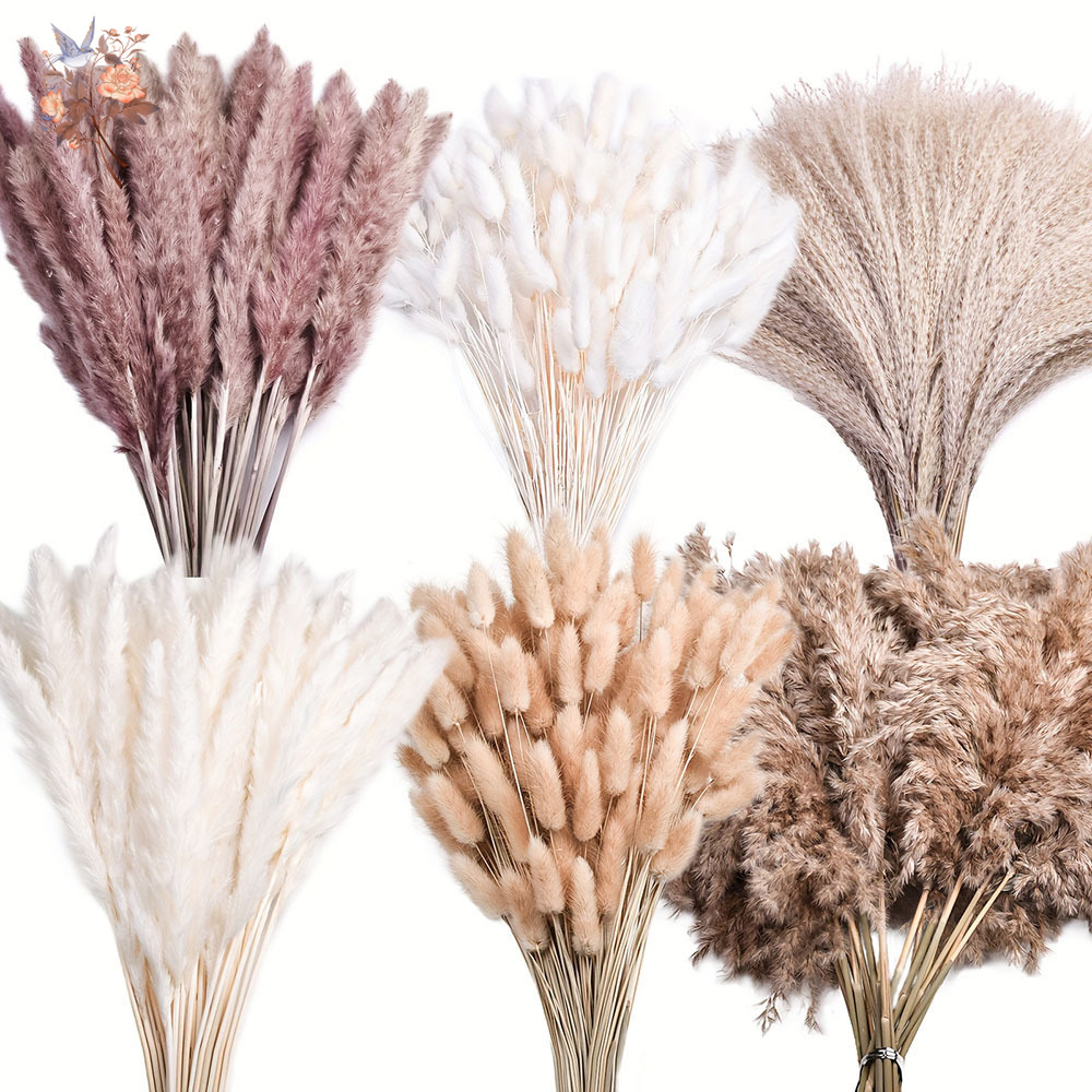 320 Peças de Flores Secas Mist - Pampas Grass Decor avaliação e preço