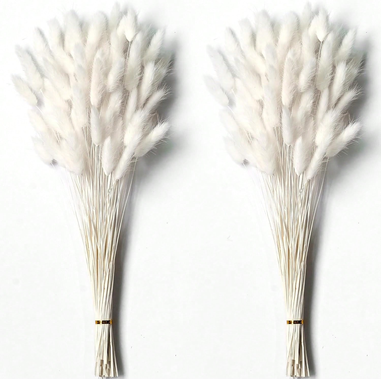 120 pçs secas pampas grama dec - Pampas Grass Decor avaliação e preço