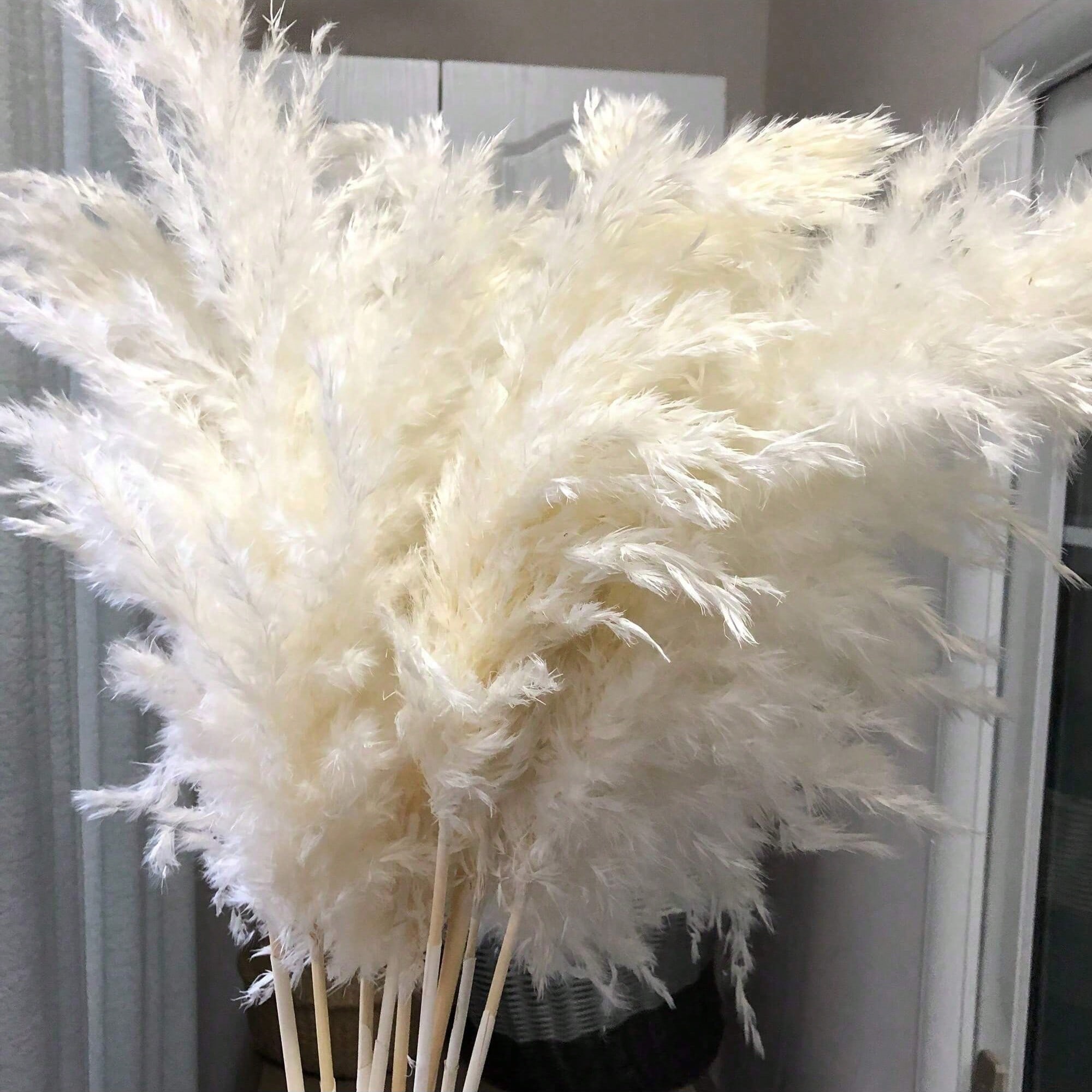 10/20/30 peças de Grama Pampas - Pampas Grass Decor avaliação e preço
